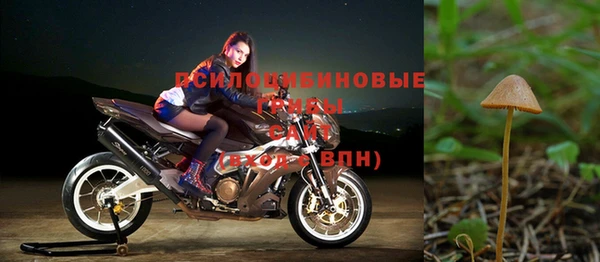СК Беломорск