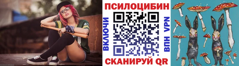 где купить наркотик  Светогорск  Псилоцибиновые грибы мицелий 